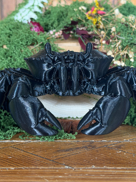 SOLDIER CRAB JAR CADDY - Empty Jar with Critter Caddy