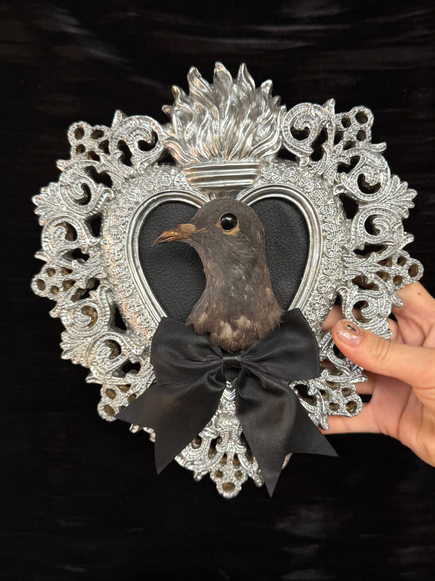 PIGEON HEAD - Mother of Hades Silver Heart Open Display Frame