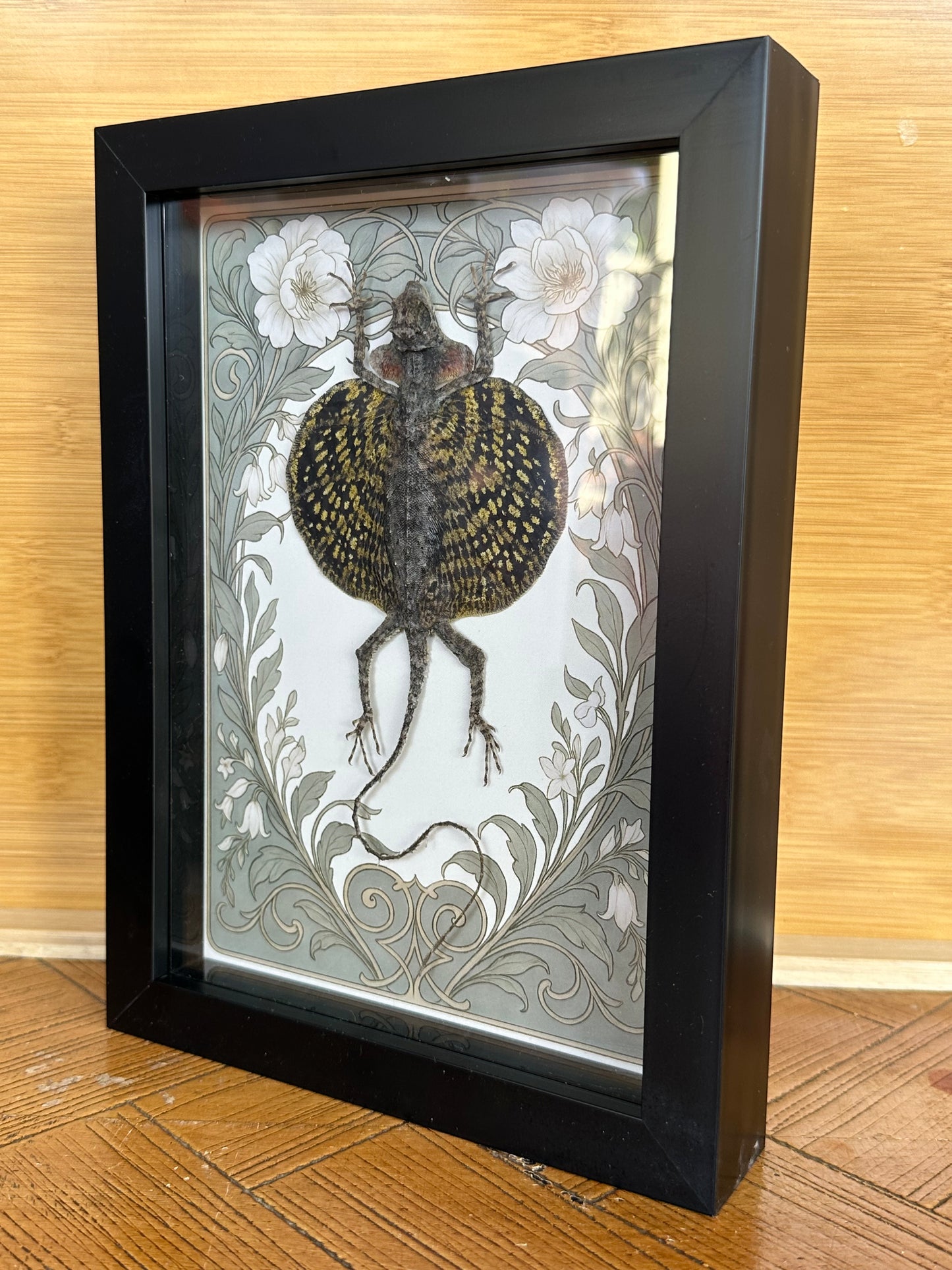 SPECIMEN FRAME - Flying Lizard