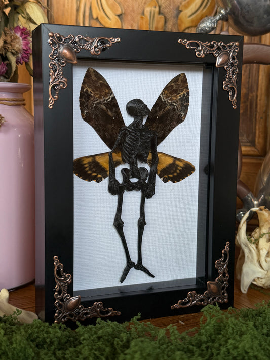 DEATH HEAD FAIRY (small) - Mother of Hades Dead Fairy Collection