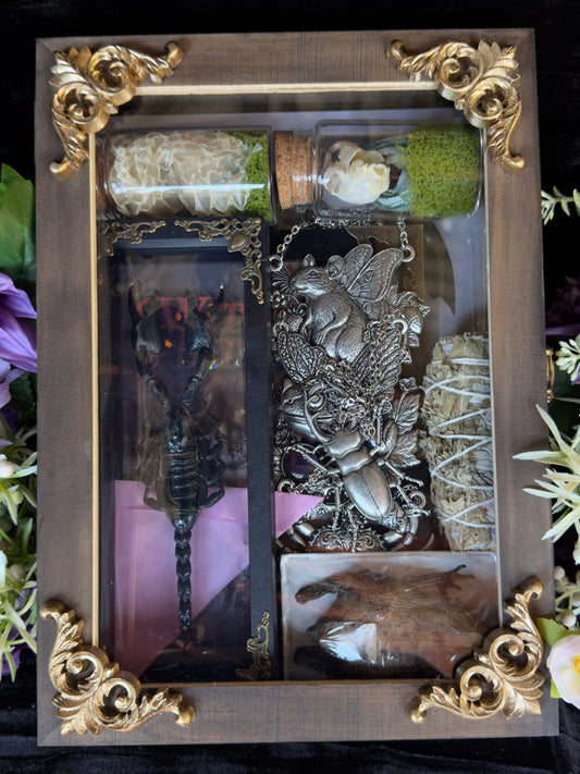 CURIOUS CRITTER VAULT - Mother Of Hades Oddities & Accessories Box