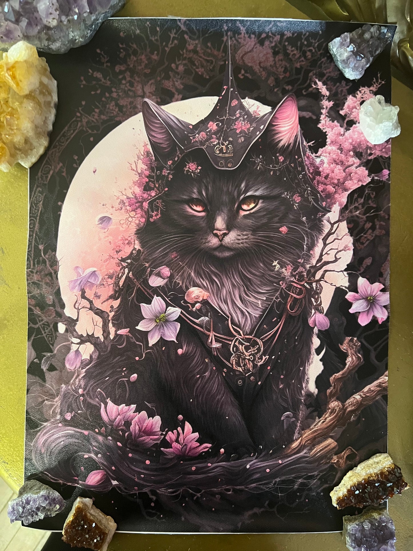 CHERRY BLOSSOM CAT - a3 canvas print