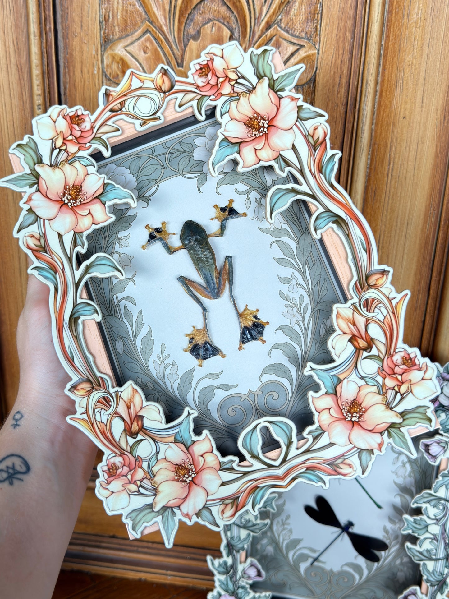 REINDWARDT’S FLYING FROG- Rhacophorus reinwardtii Framed Specimen