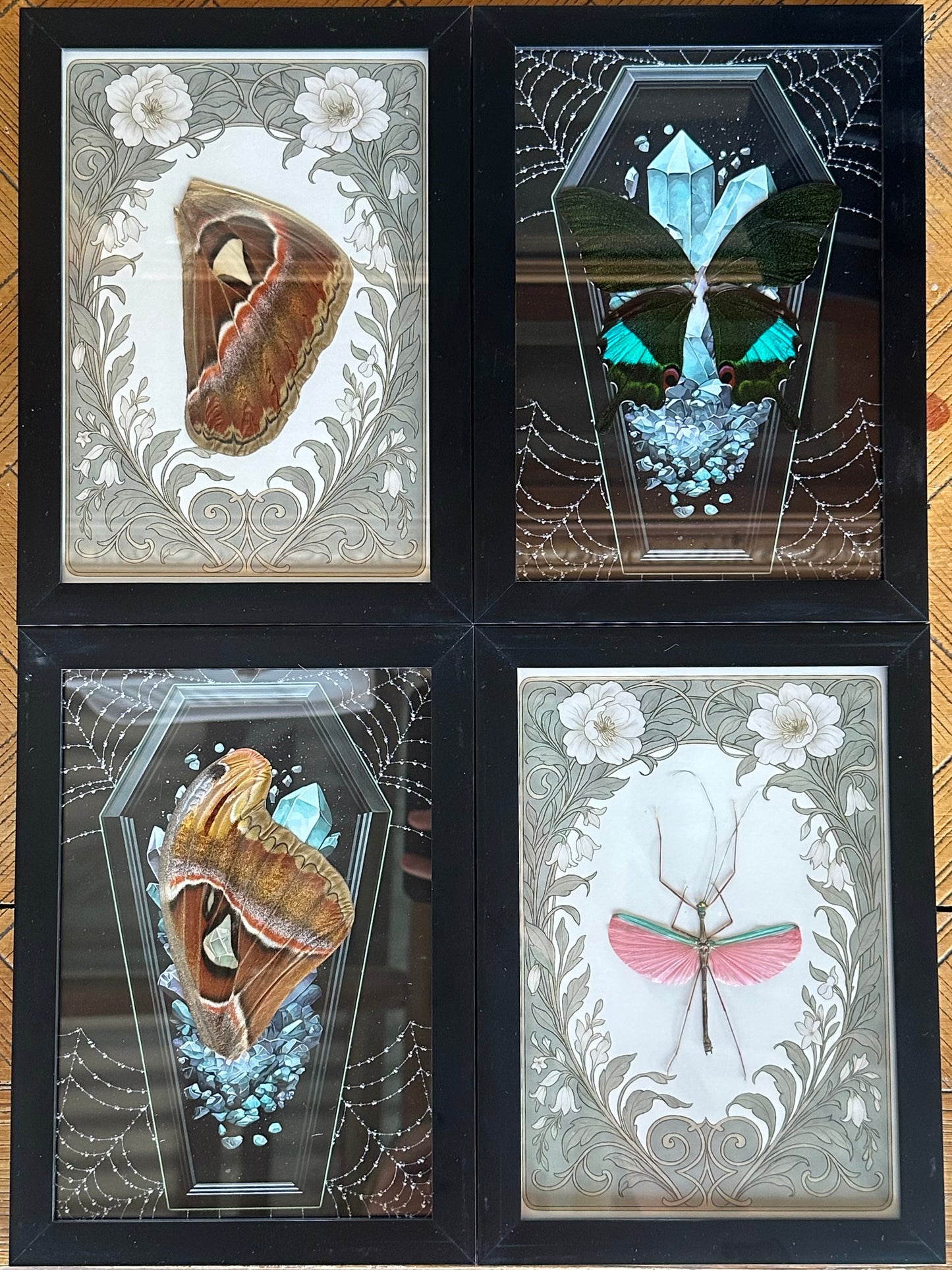 MYSTERY SPECIMEN FRAME