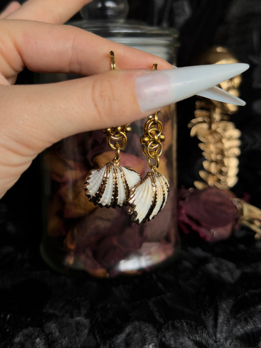 MARINE TREASURE - Pippi Shell Ear Hangers