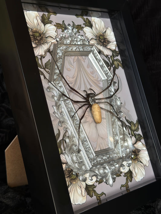Sage Silver Orb Weaver Spider - Mother of Hades Frame