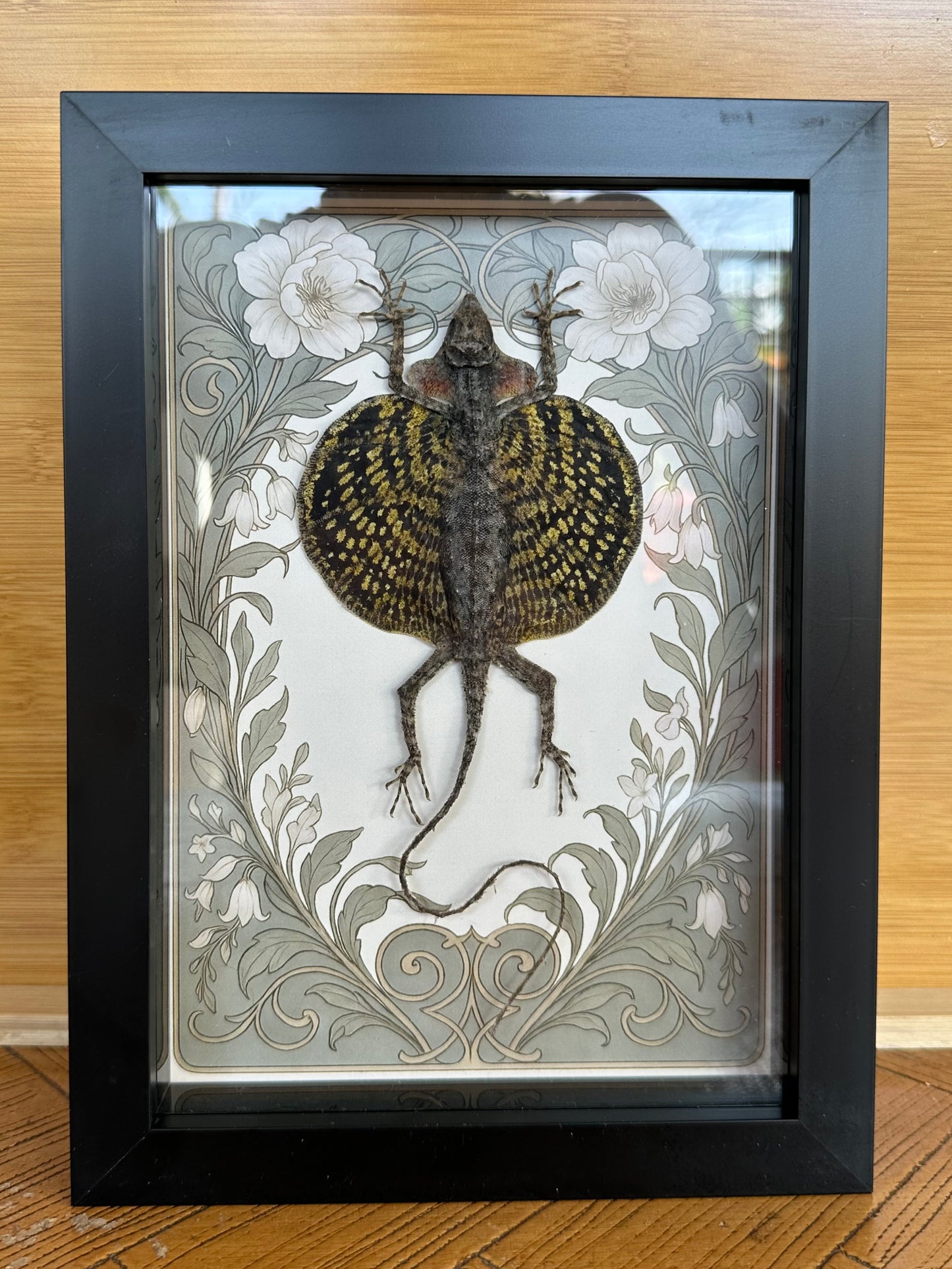 SPECIMEN FRAME - Flying Lizard