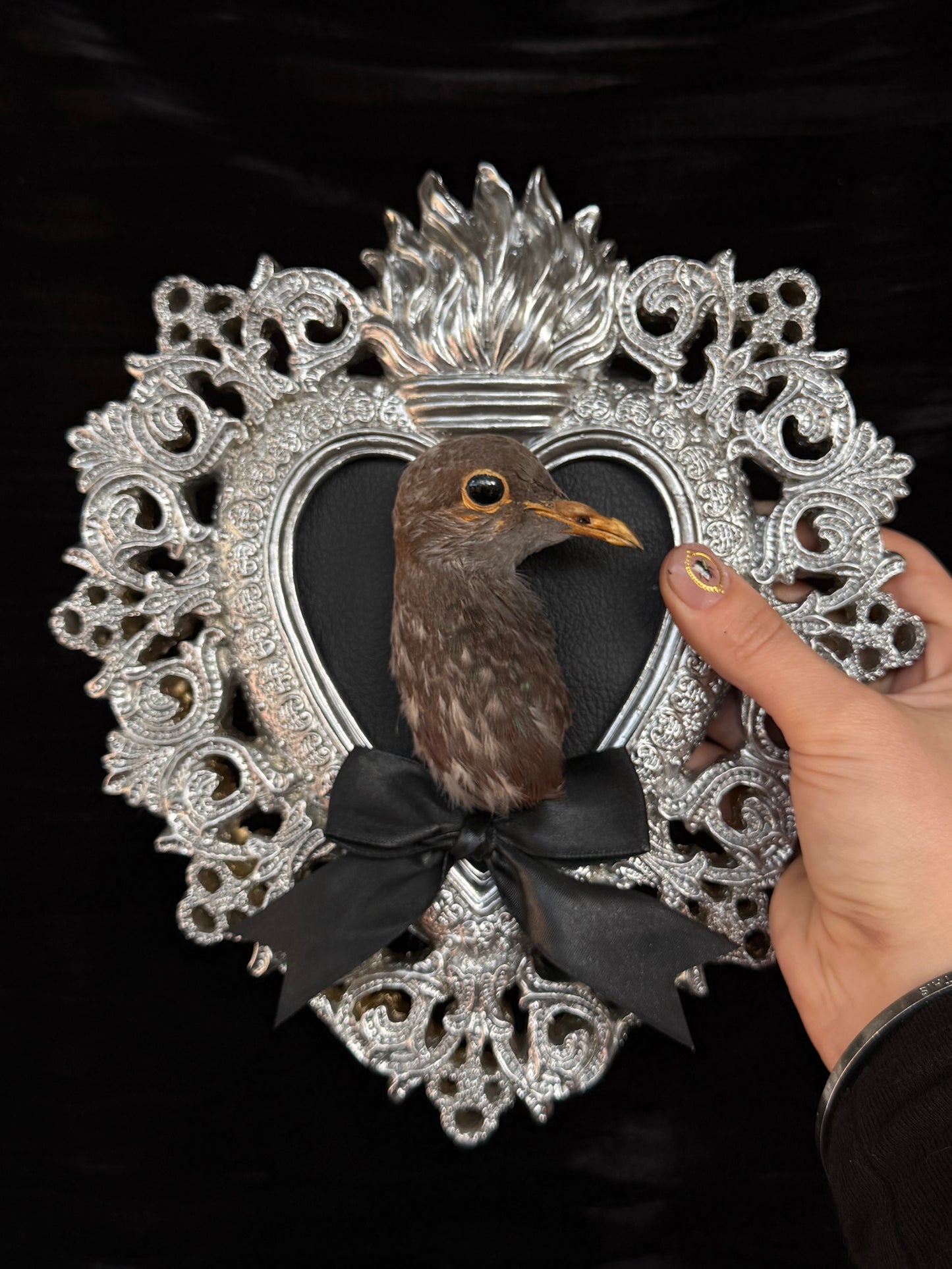 PIGEON HEAD - Mother of Hades Silver Heart Open Display Frame