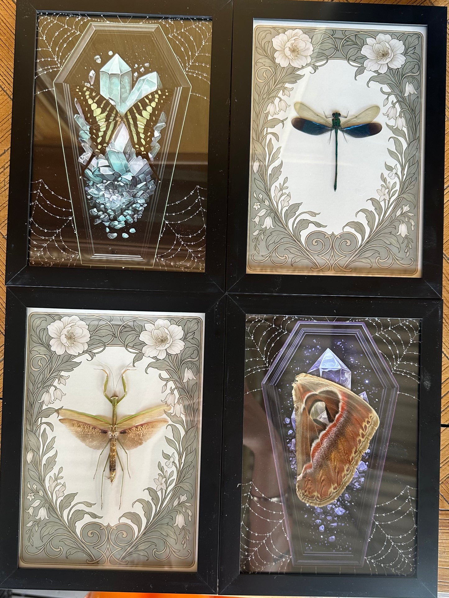 MYSTERY SPECIMEN FRAME