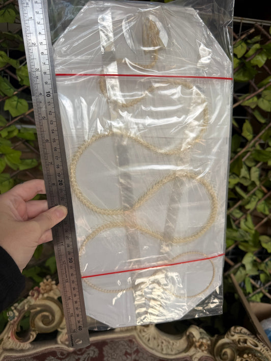 Ahaetulla prasina - HUGE oriental whipsnake specimen