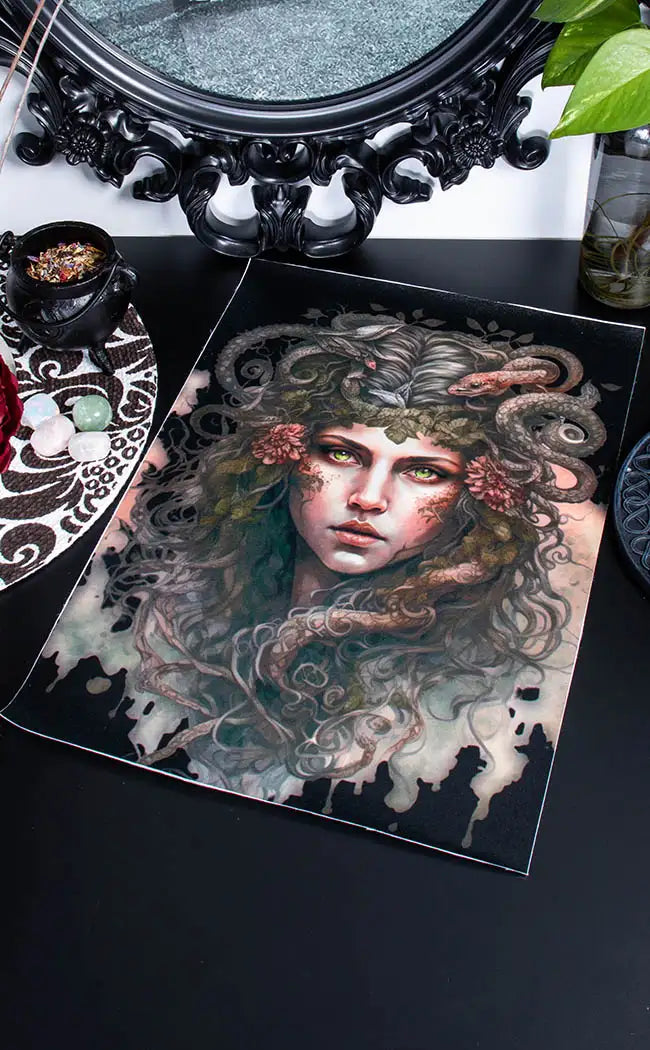 MEDUSA WAS A VICTIM - a3 canvas print
