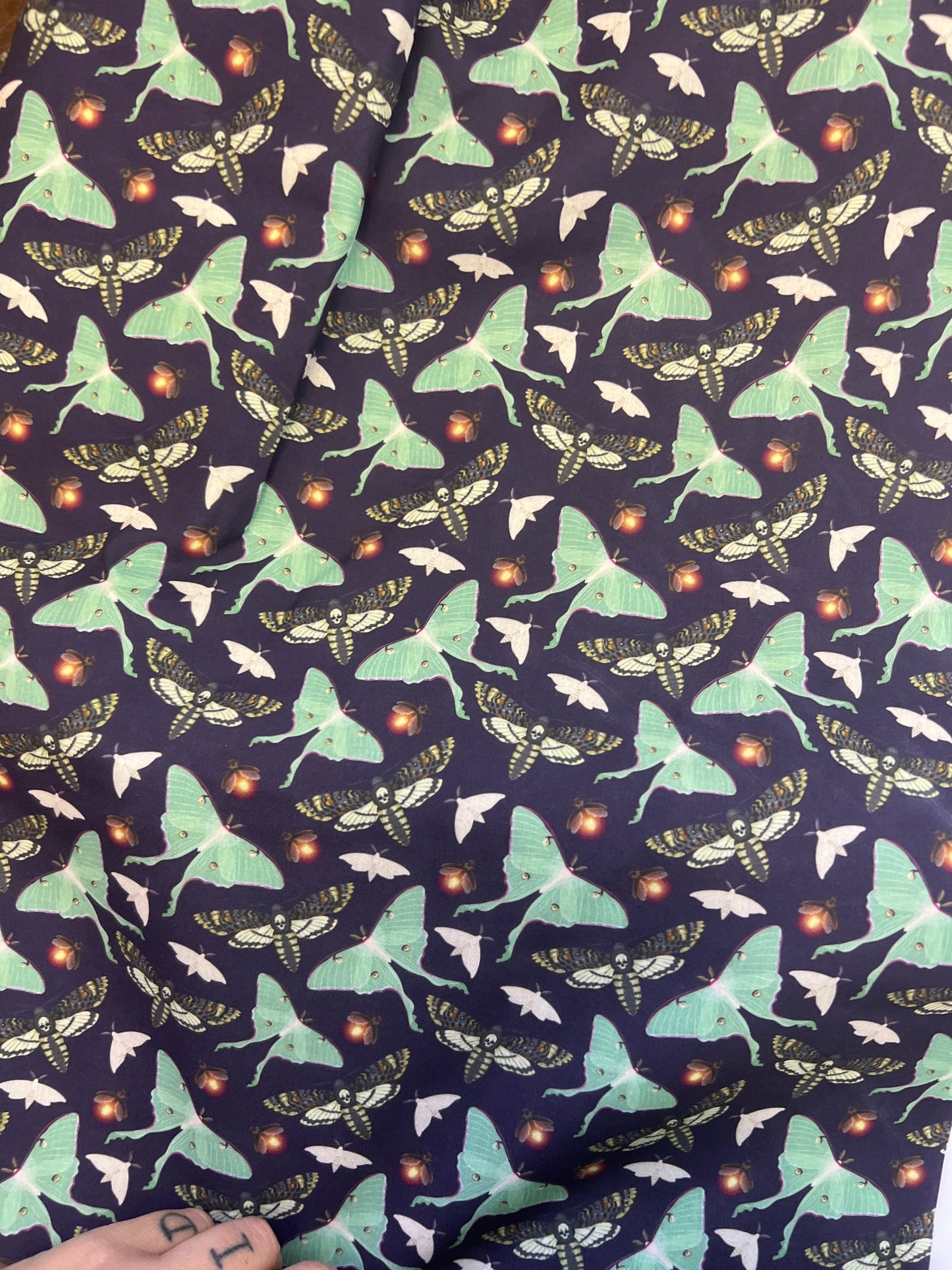 LUNAR MOTH AQUA  - Polycotton Fabric from Japan