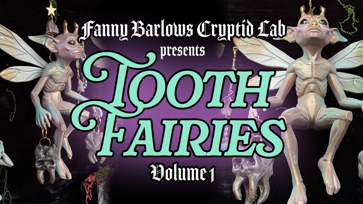 TOOTH FAIRY COLLECTION