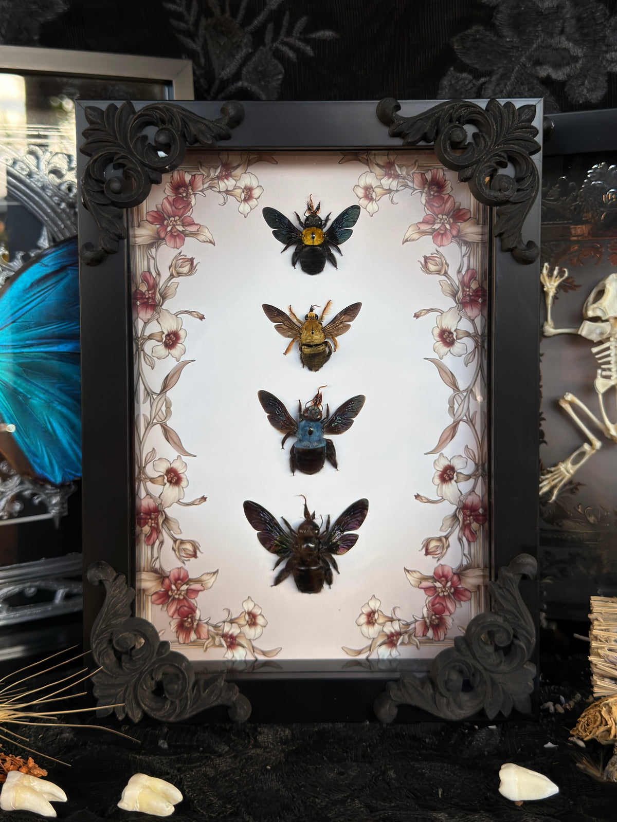 CARPENTER BEE QUAD - A5 Bee Frame