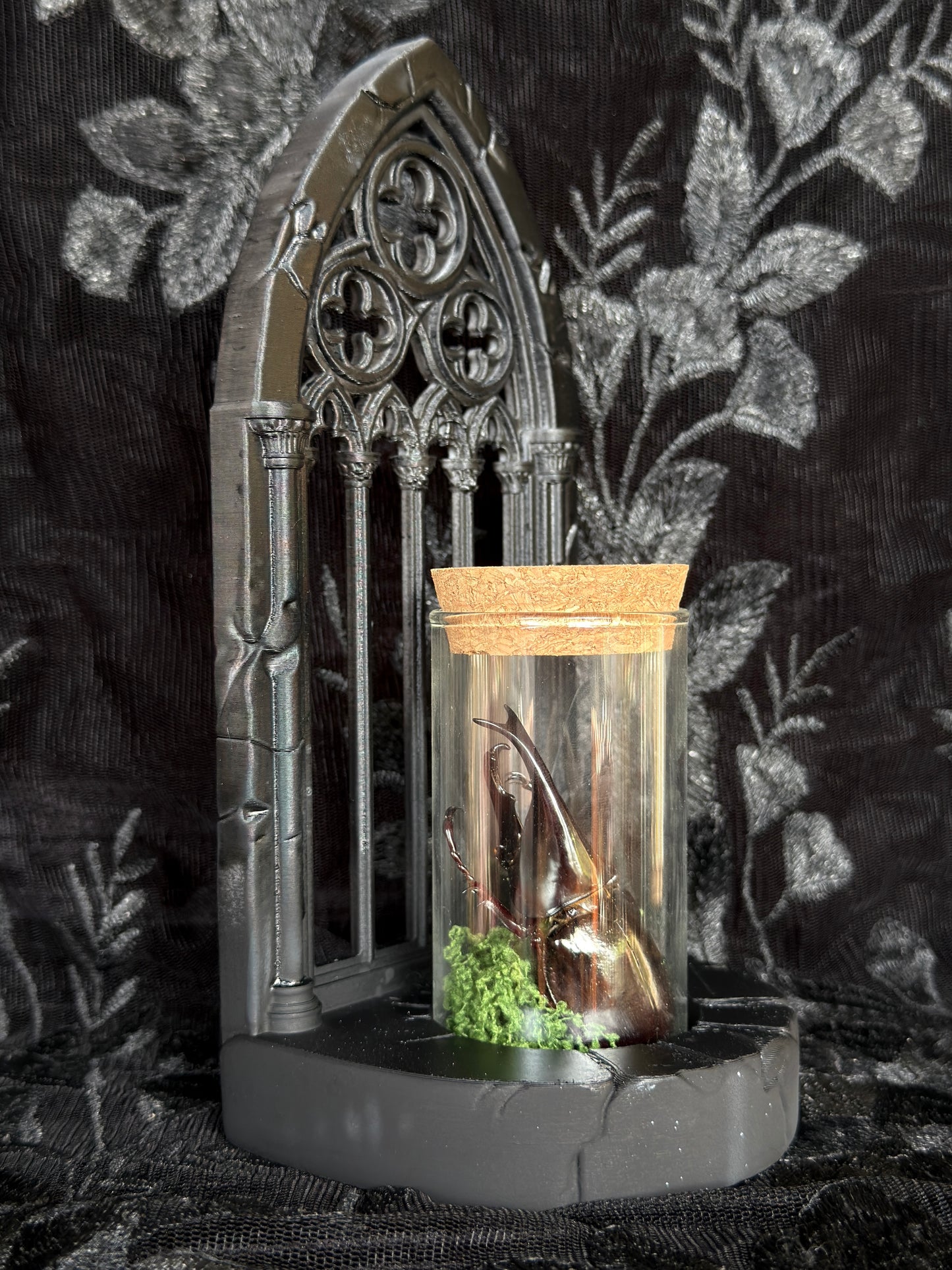 GOTHIC ARCH SPECIMEN COMBO