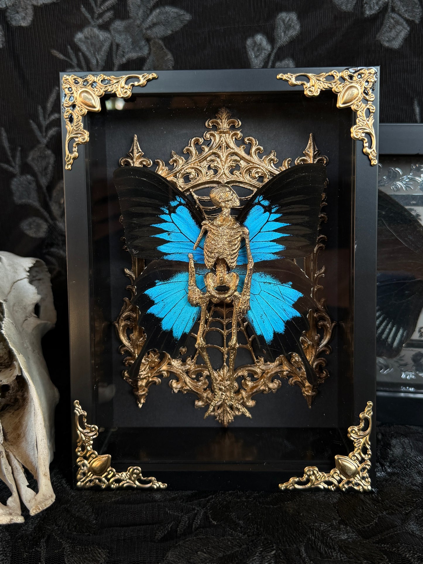 GOLDILOCKS - Mother of Hades Dead Fairy Frame