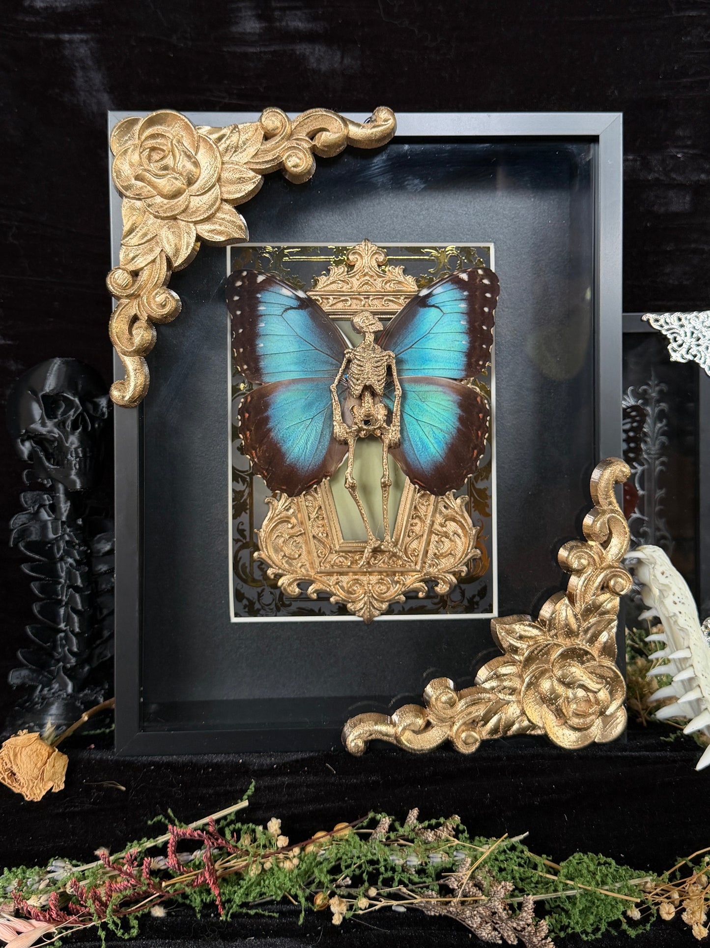 GOLD MORPHO MAUSOLEUM - Mother of Hades Dead Fairy Frame