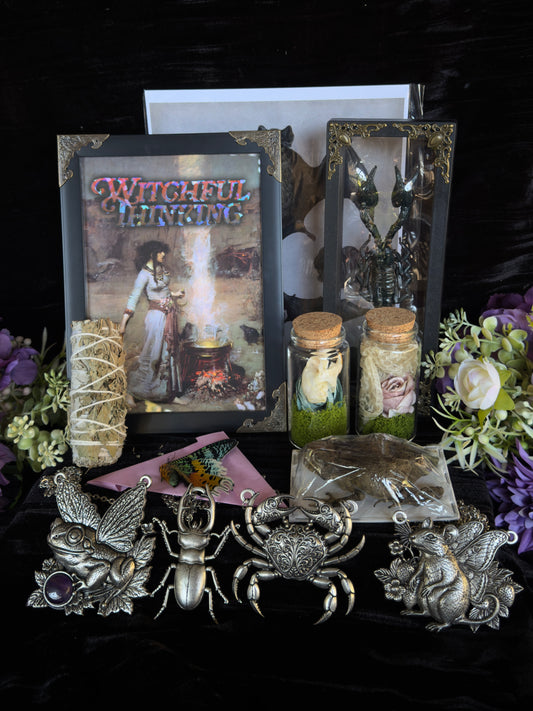 CURIOUS CRITTER VAULT - Mother Of Hades Oddities & Accessories Box