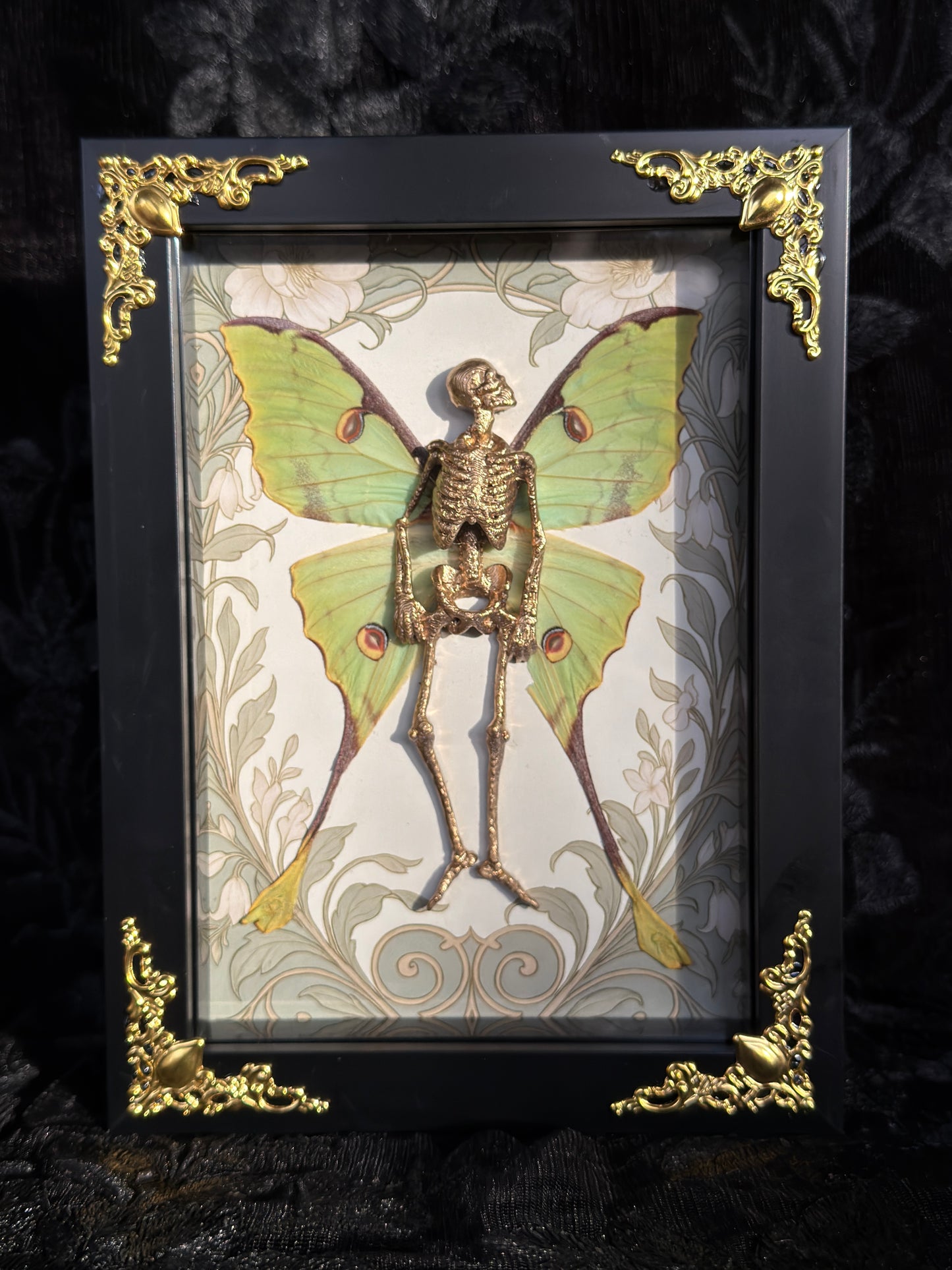 LA LUNA FAIRY - Mother of Hades Dead Fairy Frame