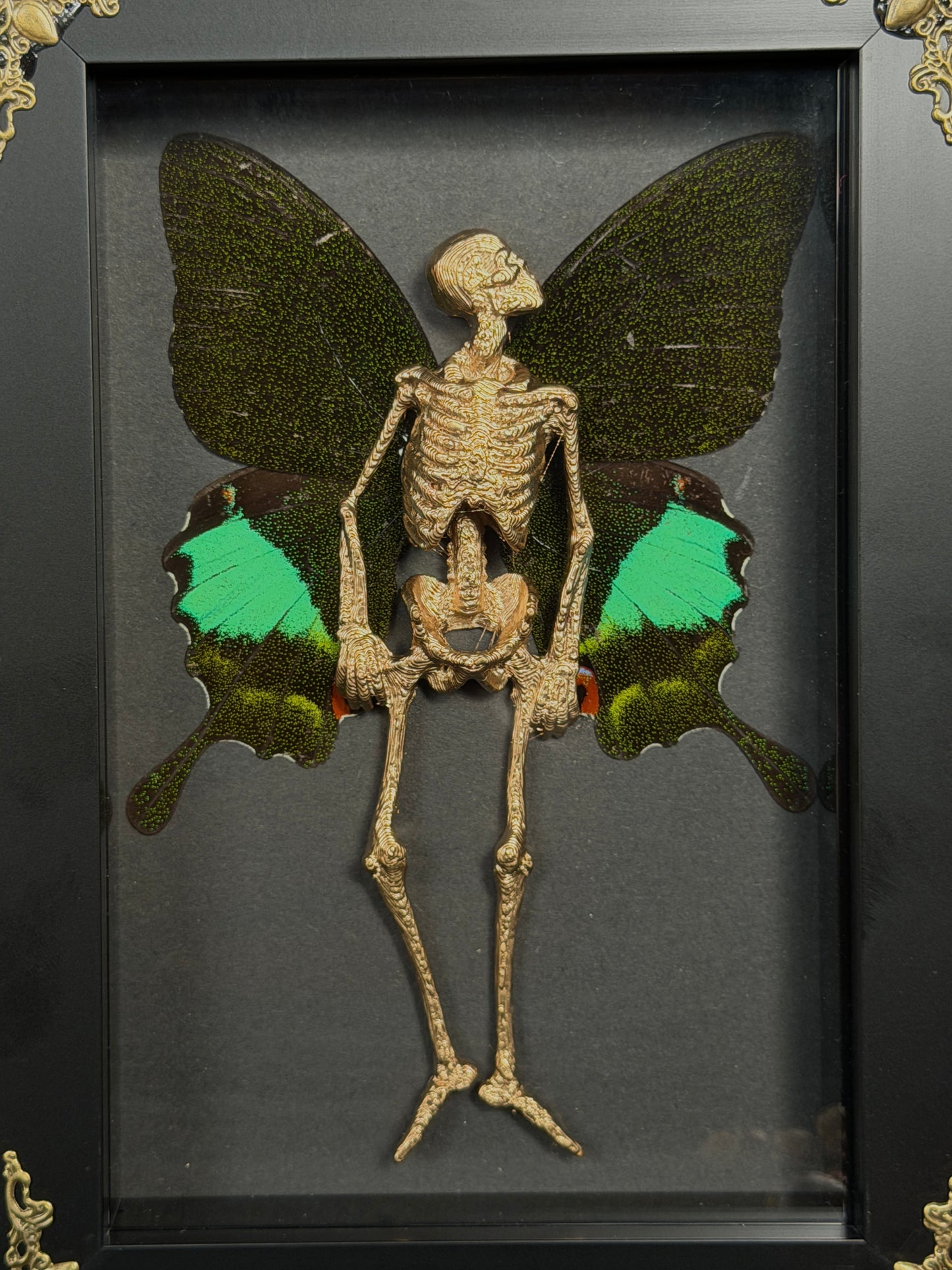 GOLD PEACOCK FAIRY - Mother of Hades Dead Fairy Collection
