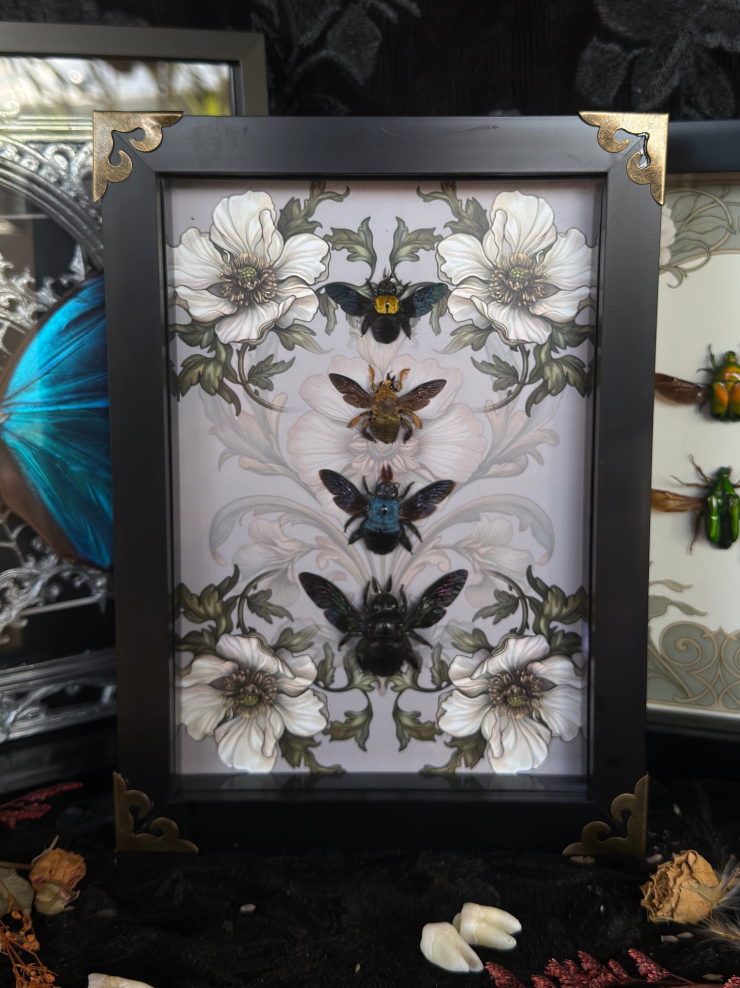 CARPENTER BEE QUAD - A5 Bee Frame