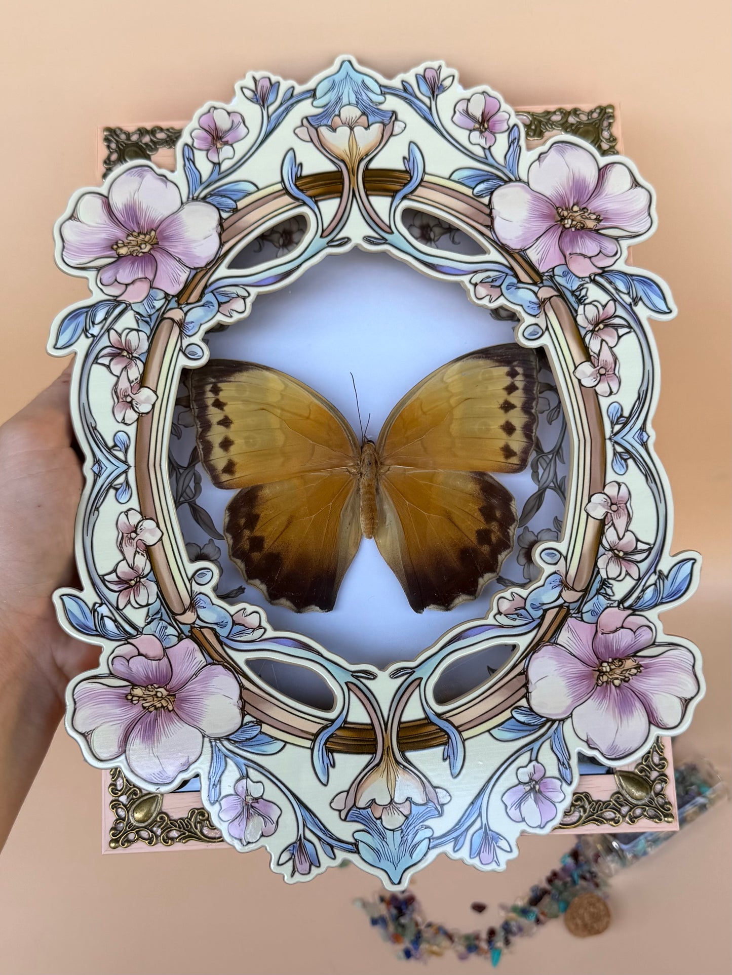 ILLIONEUS OWL BUTTERFLY -  Caligo Illioneus Praexiodus Hybrid? Framed Specimen *DAMAGED*