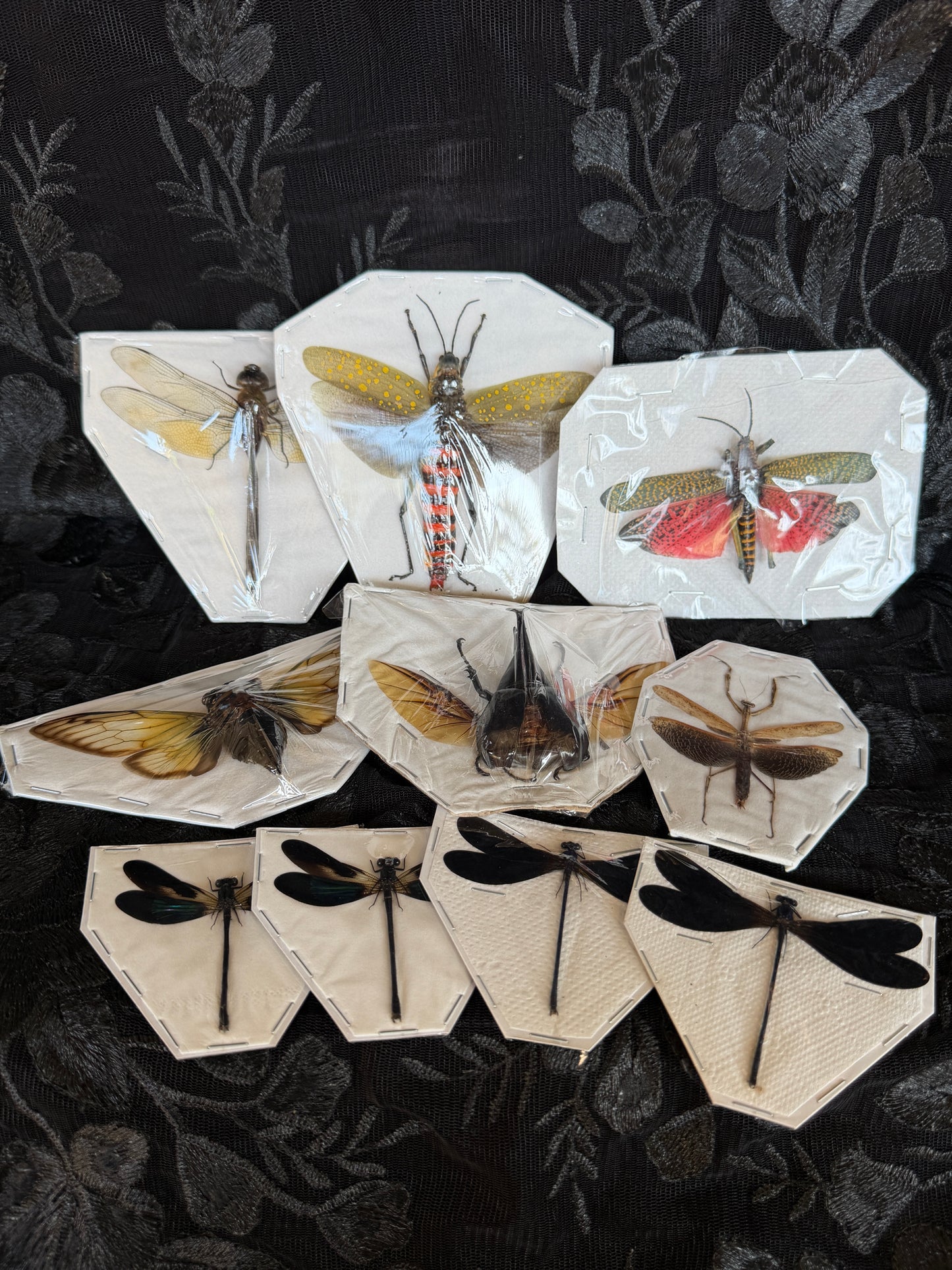 WONDERFUL WINGS - destash pack