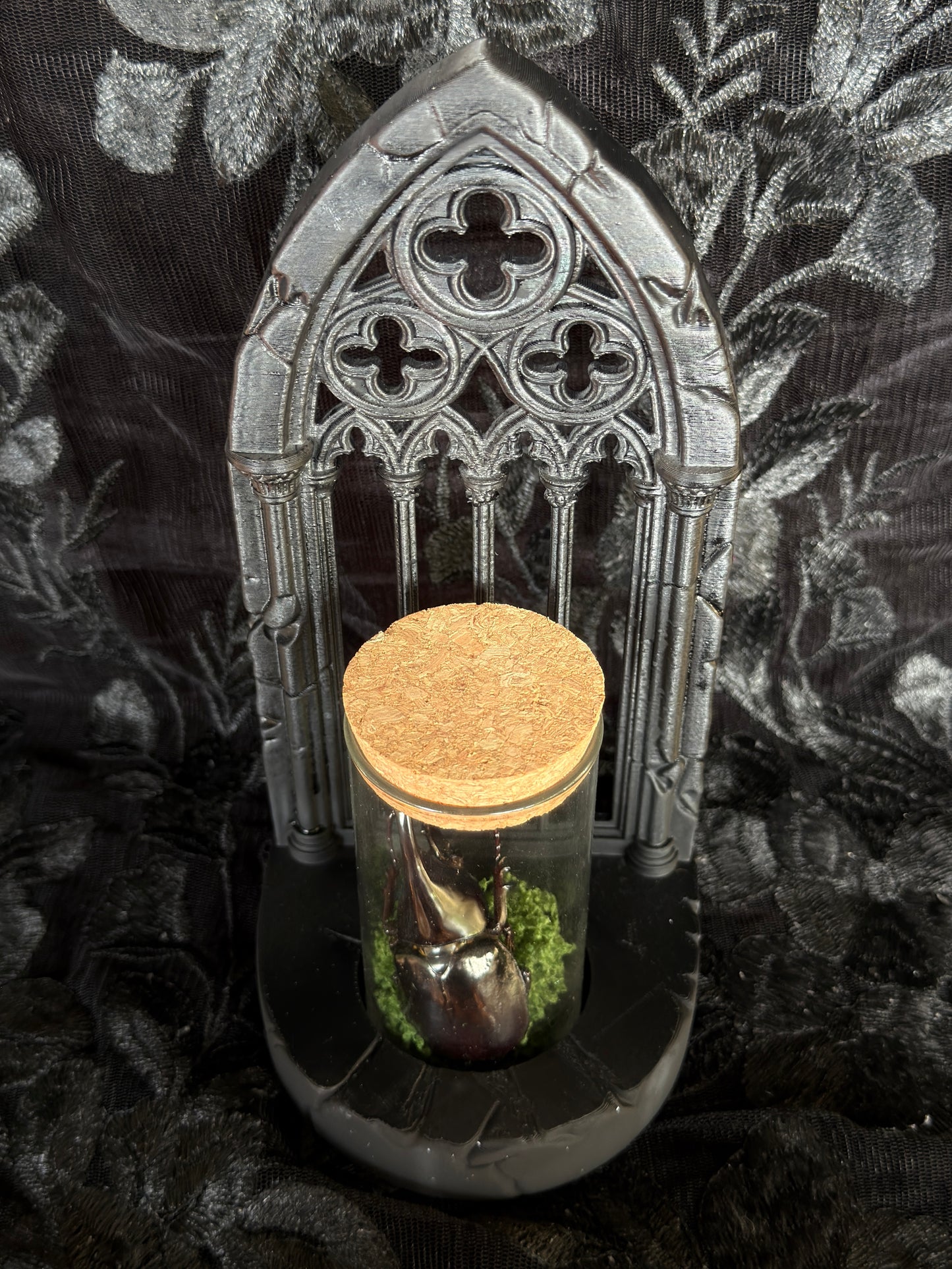 GOTHIC ARCH SPECIMEN COMBO