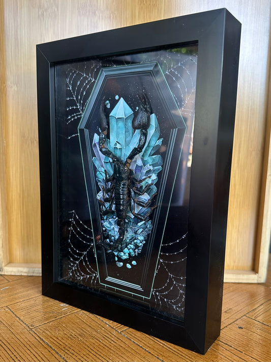 SPECIMEN FRAME - Indonesian Scorpion