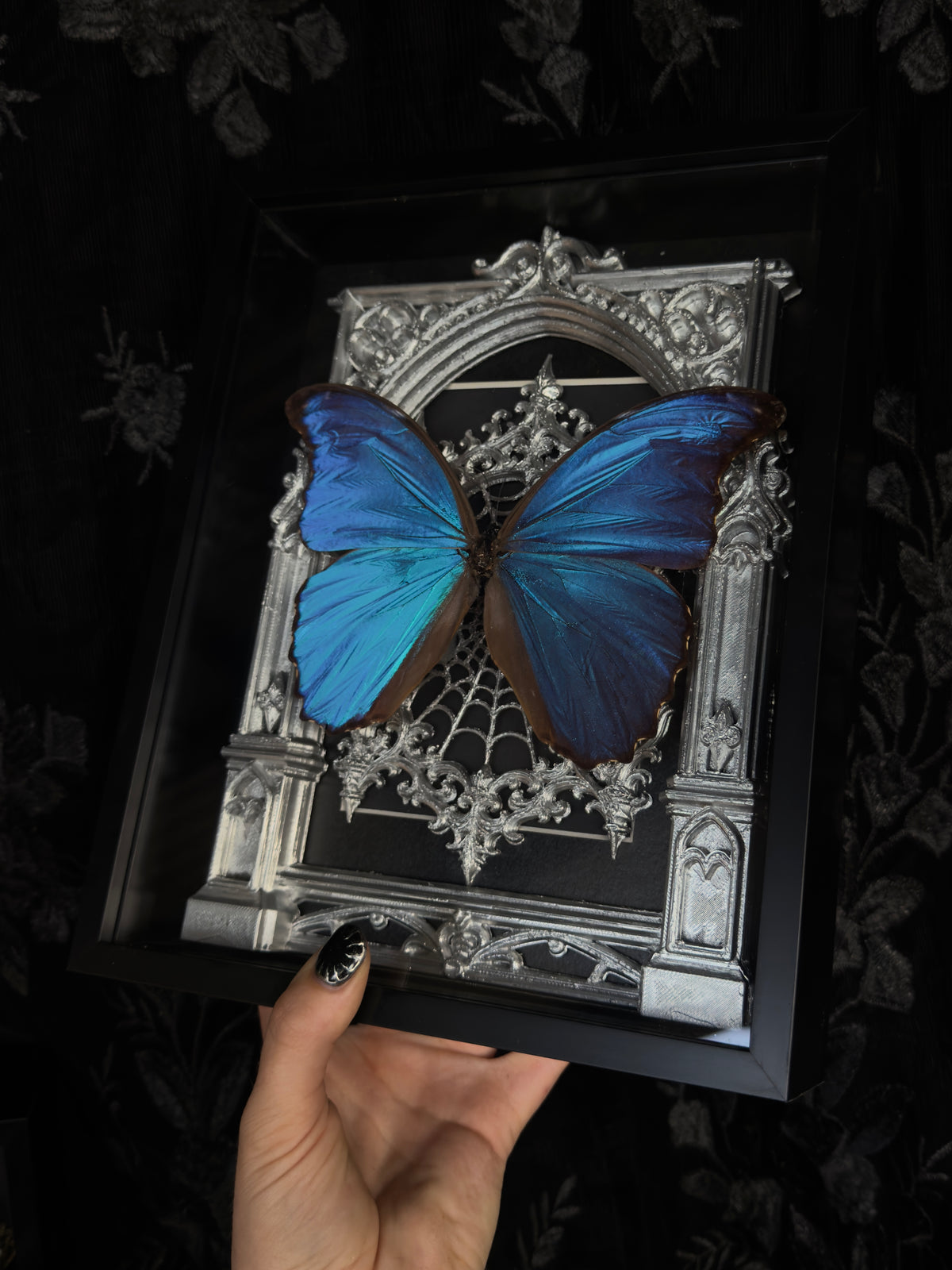 SILVER MORPHO MAUSOLEUM - Mother of Hades Butterfly Frame
