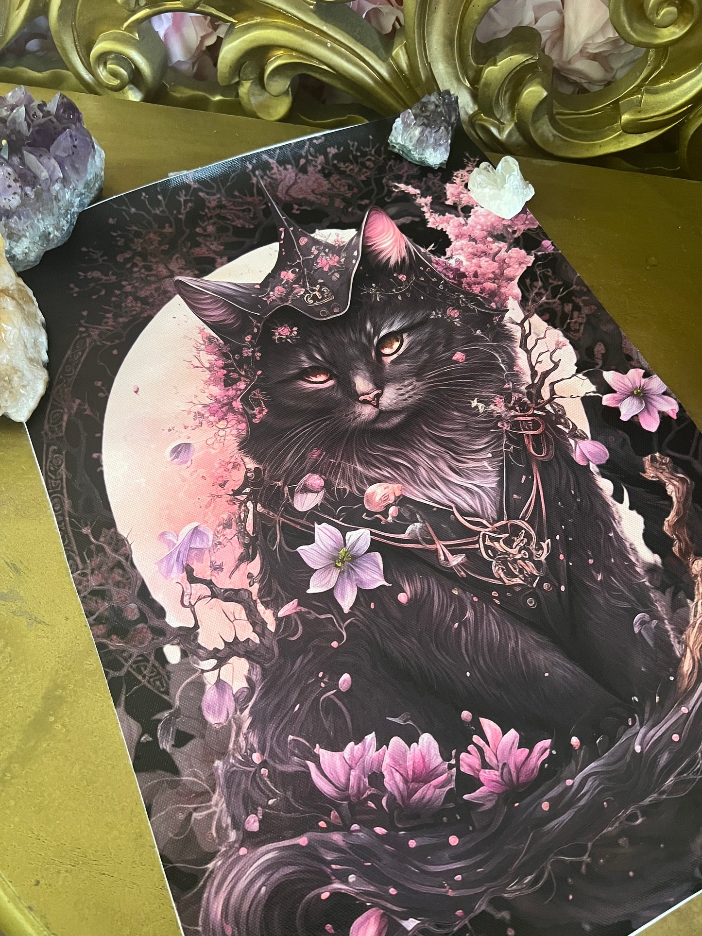 CHERRY BLOSSOM CAT - a3 canvas print