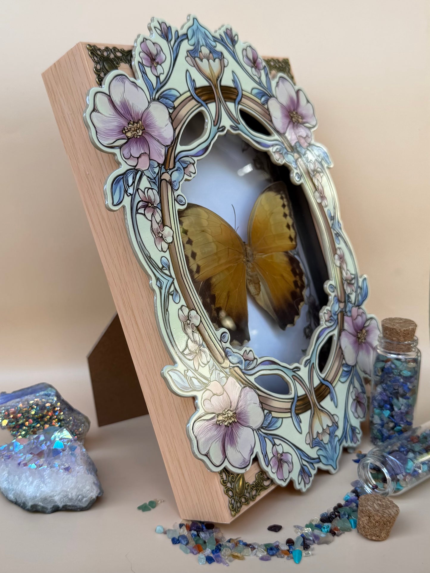 ILLIONEUS OWL BUTTERFLY -  Caligo Illioneus Praexiodus Hybrid? Framed Specimen *DAMAGED*