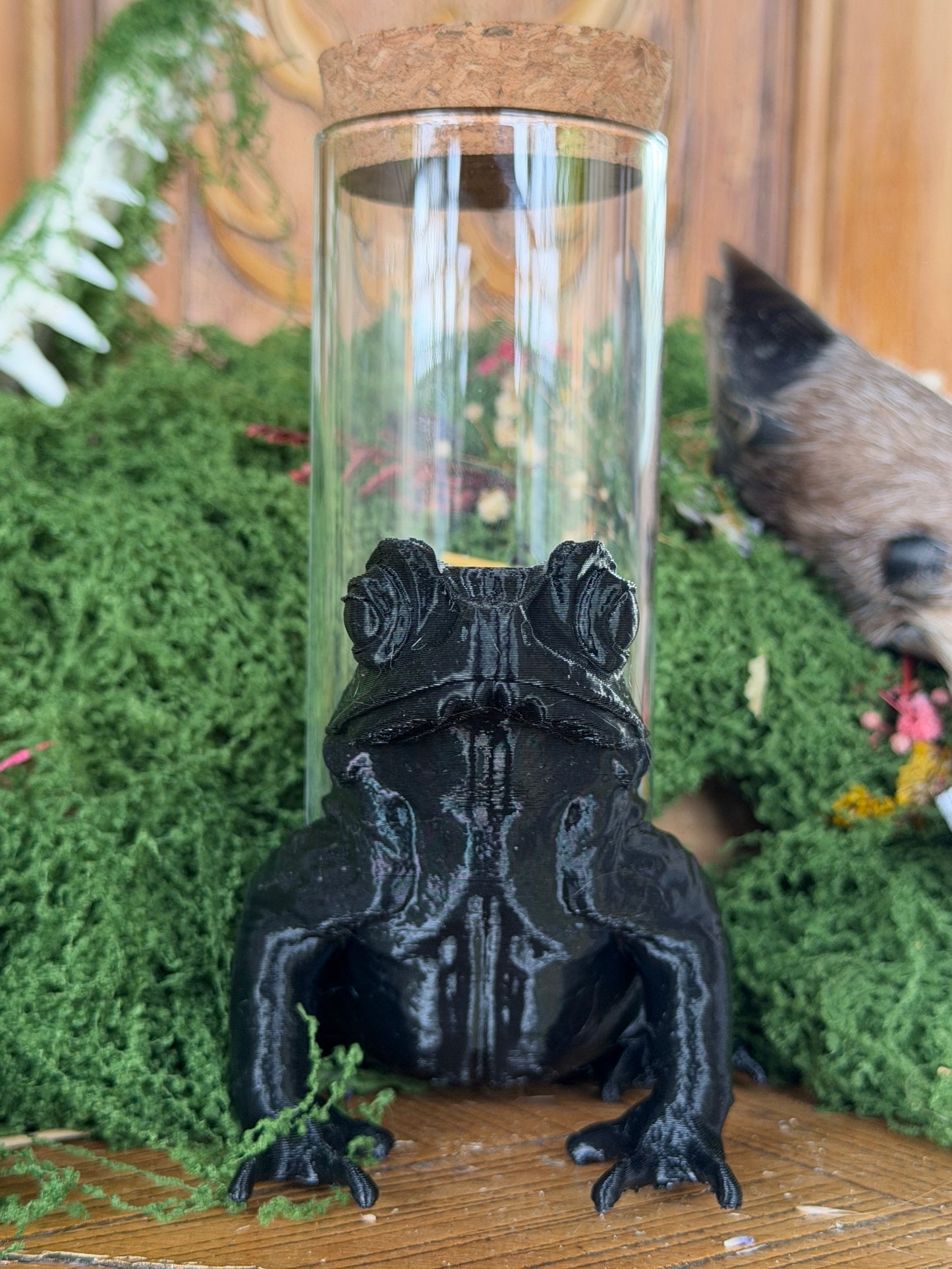 TOAD JAR CADDY - Empty Jar with Critter Caddy