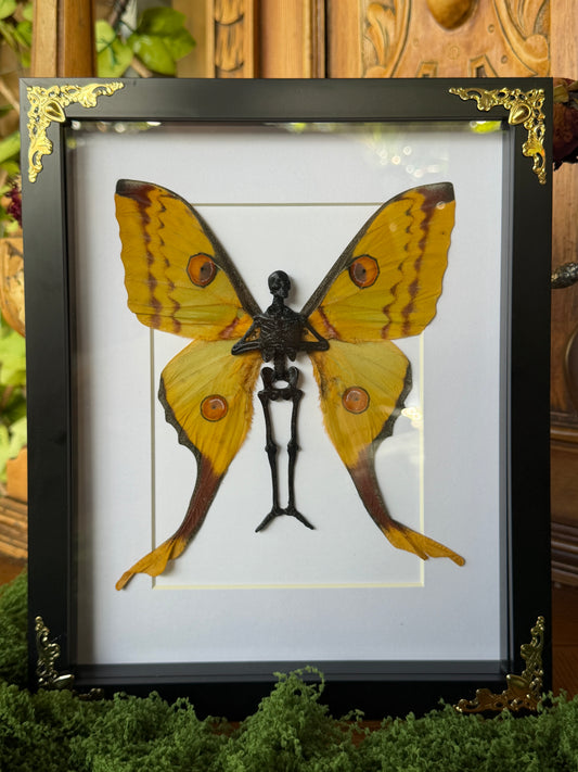 COMET MOTH FAIRY (F) - Mother of Hades Dead Fairy Collection