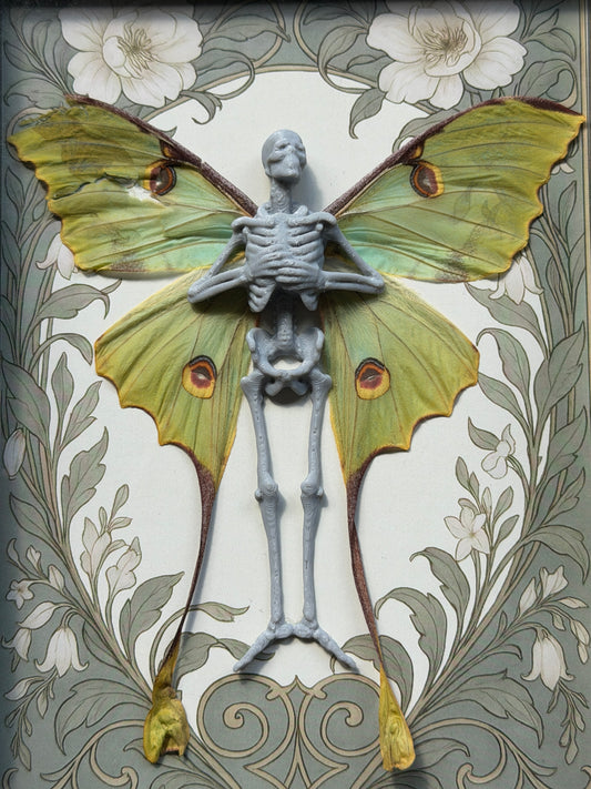 CHINESE MOON MOTH FAIRY - Mother of Hades Dead Fairy Collection