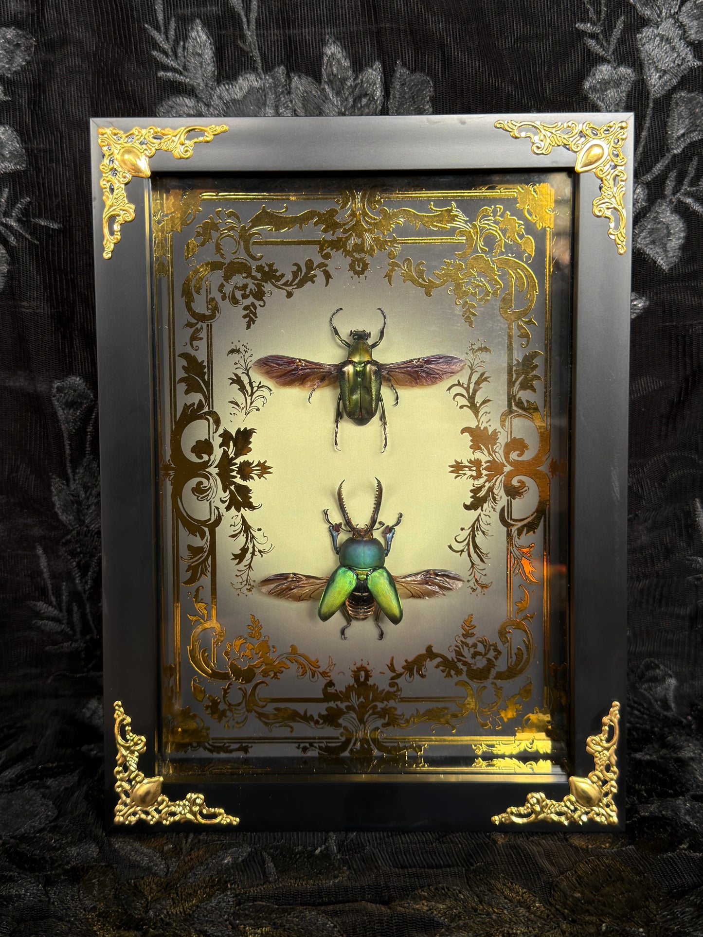 LAMPRINA JEWEL DUO SHADOW BOX