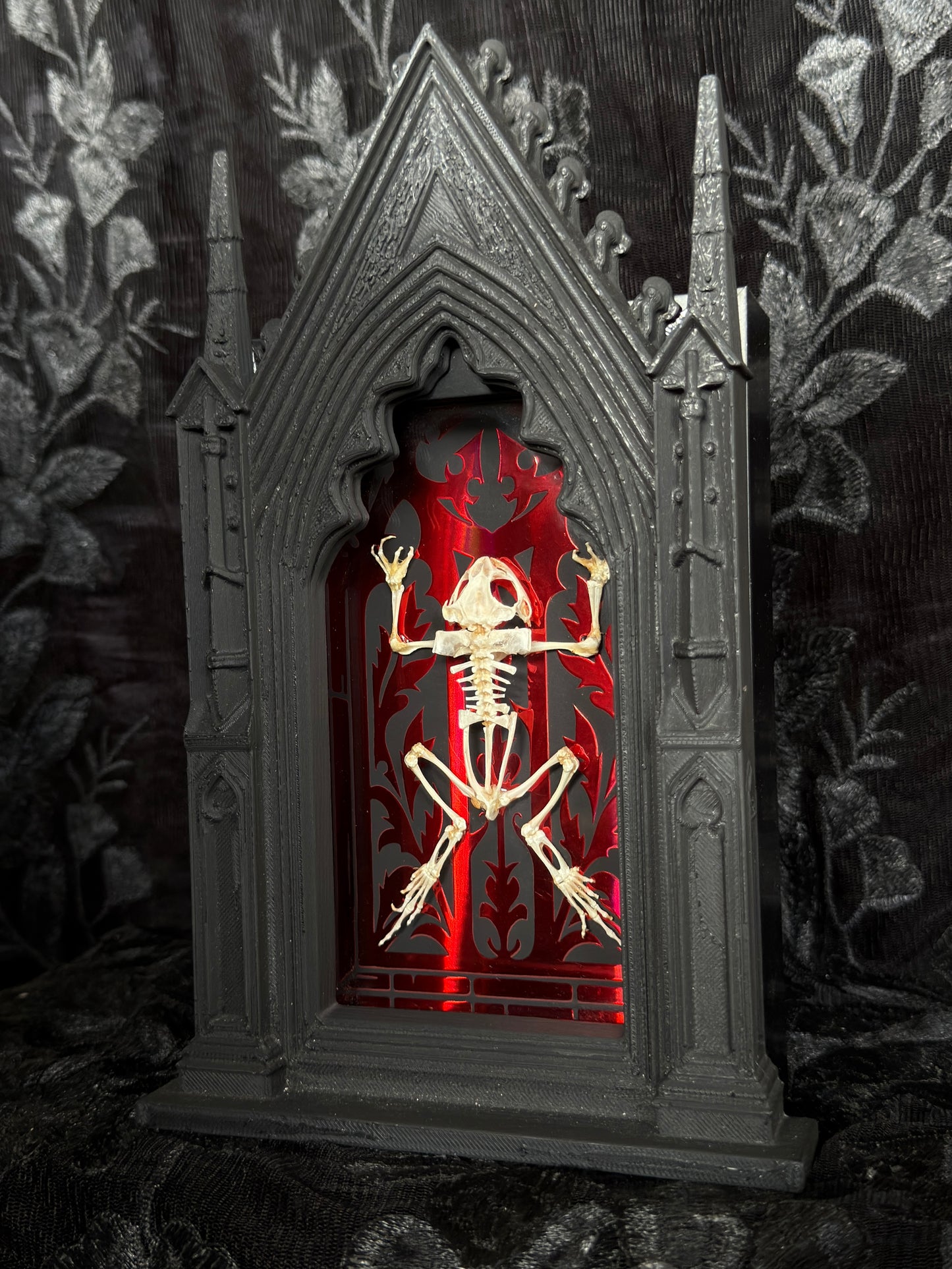 TOAD SKELETON SHADOW BOX