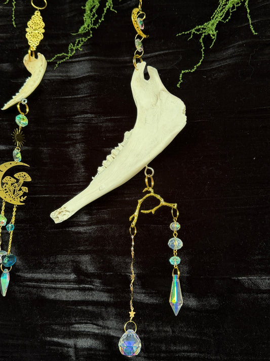 SHEEP MANDIBLE BONE SUN CATCHER