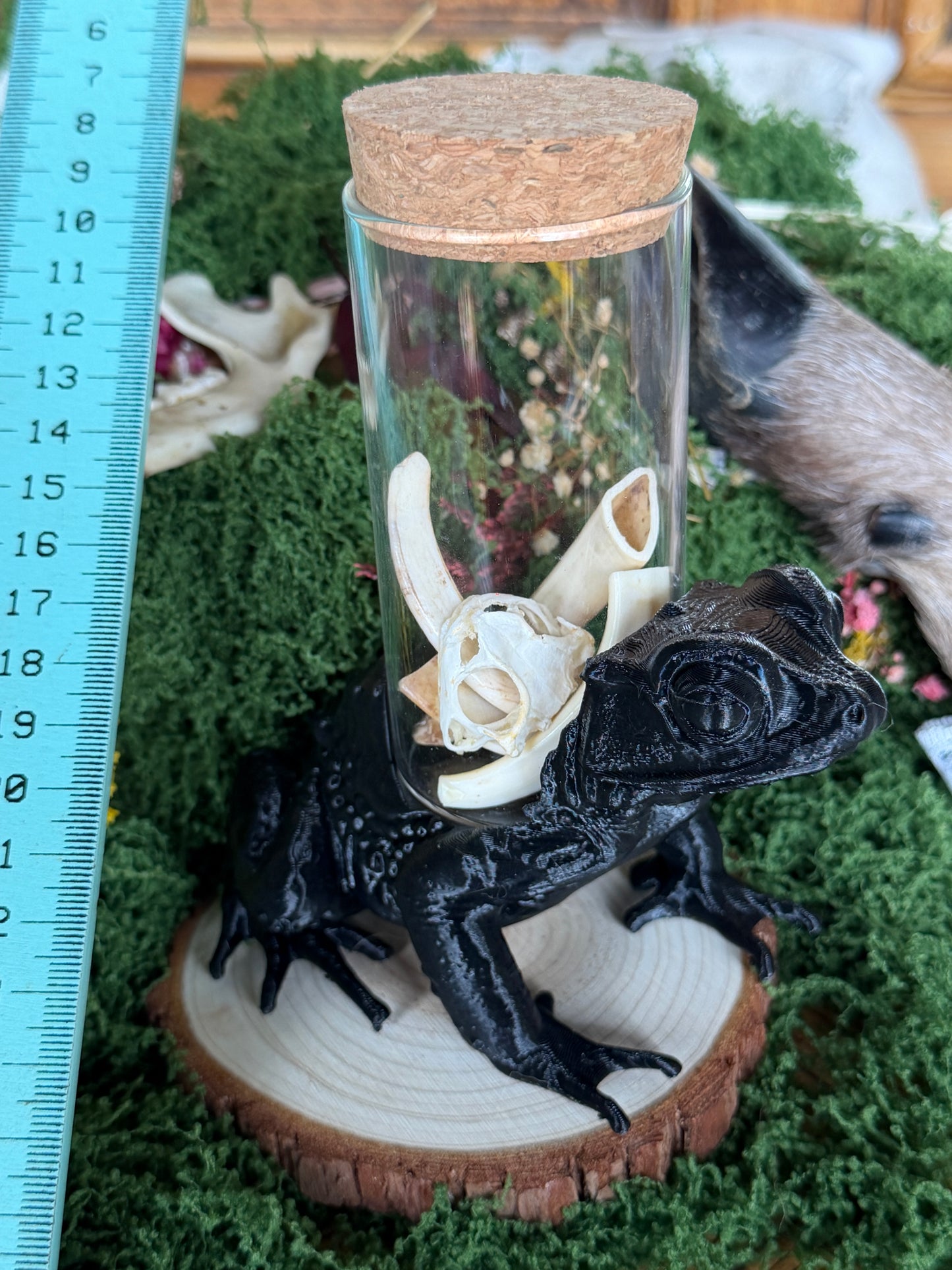 TOAD JAR CADDY - Empty Jar with Critter Caddy