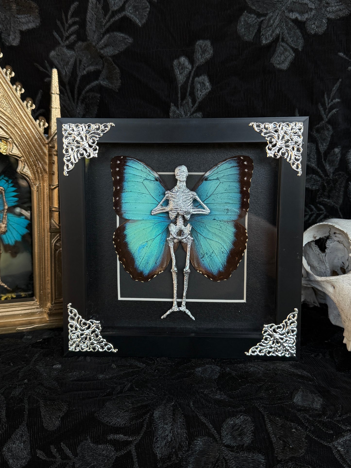 MORPHO FAIRY - Mother of Hades Dead Fairy Frame