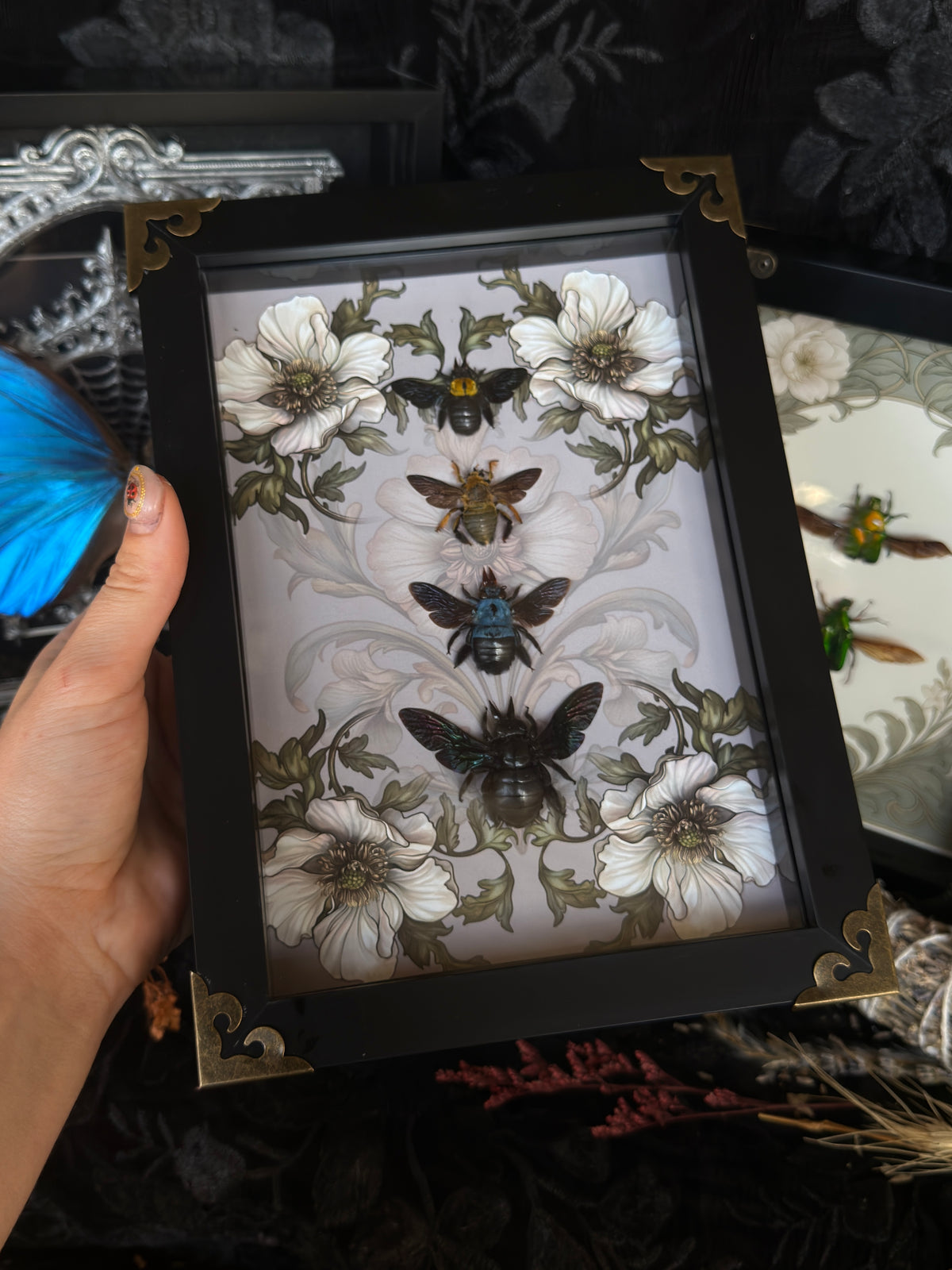 CARPENTER BEE QUAD - A5 Bee Frame