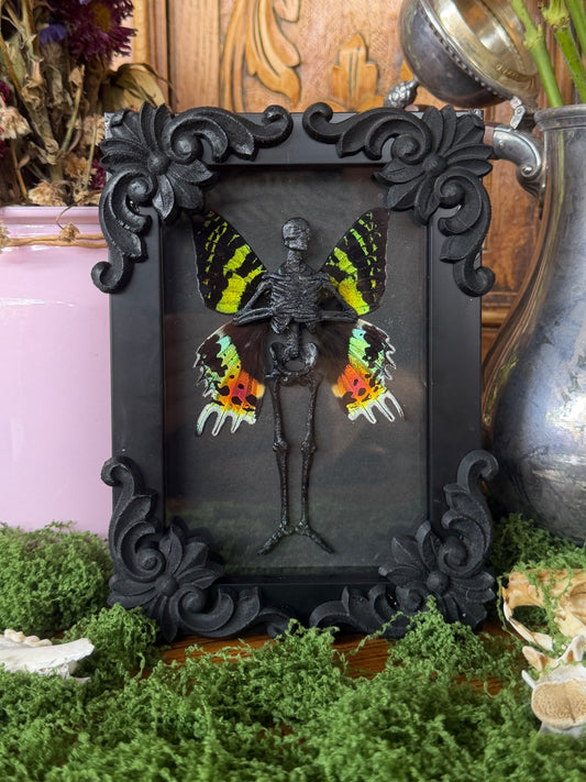 SUNSET MOTH FAIRY - Mother of Hades Dead Fairy Collection