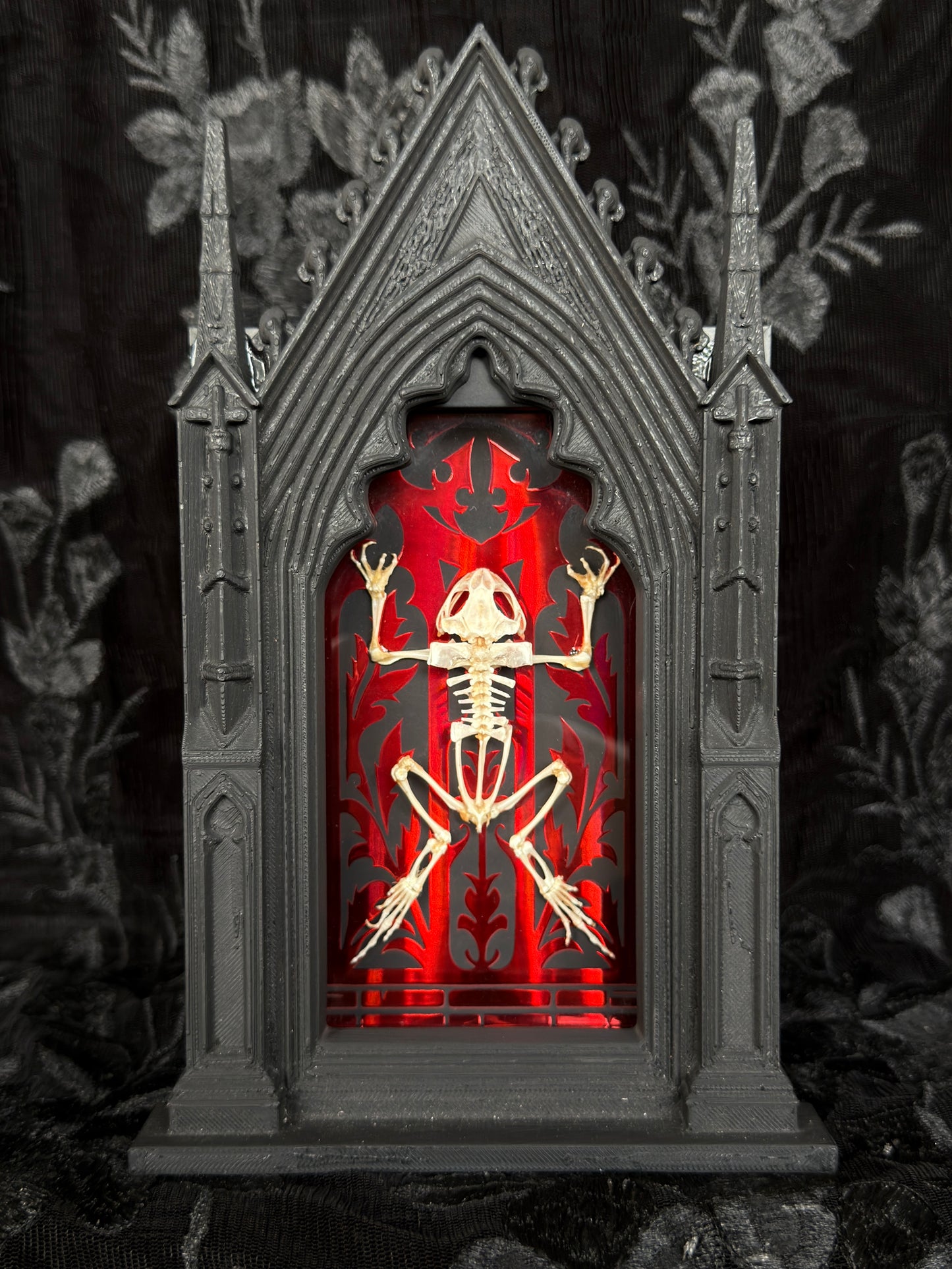 TOAD SKELETON SHADOW BOX