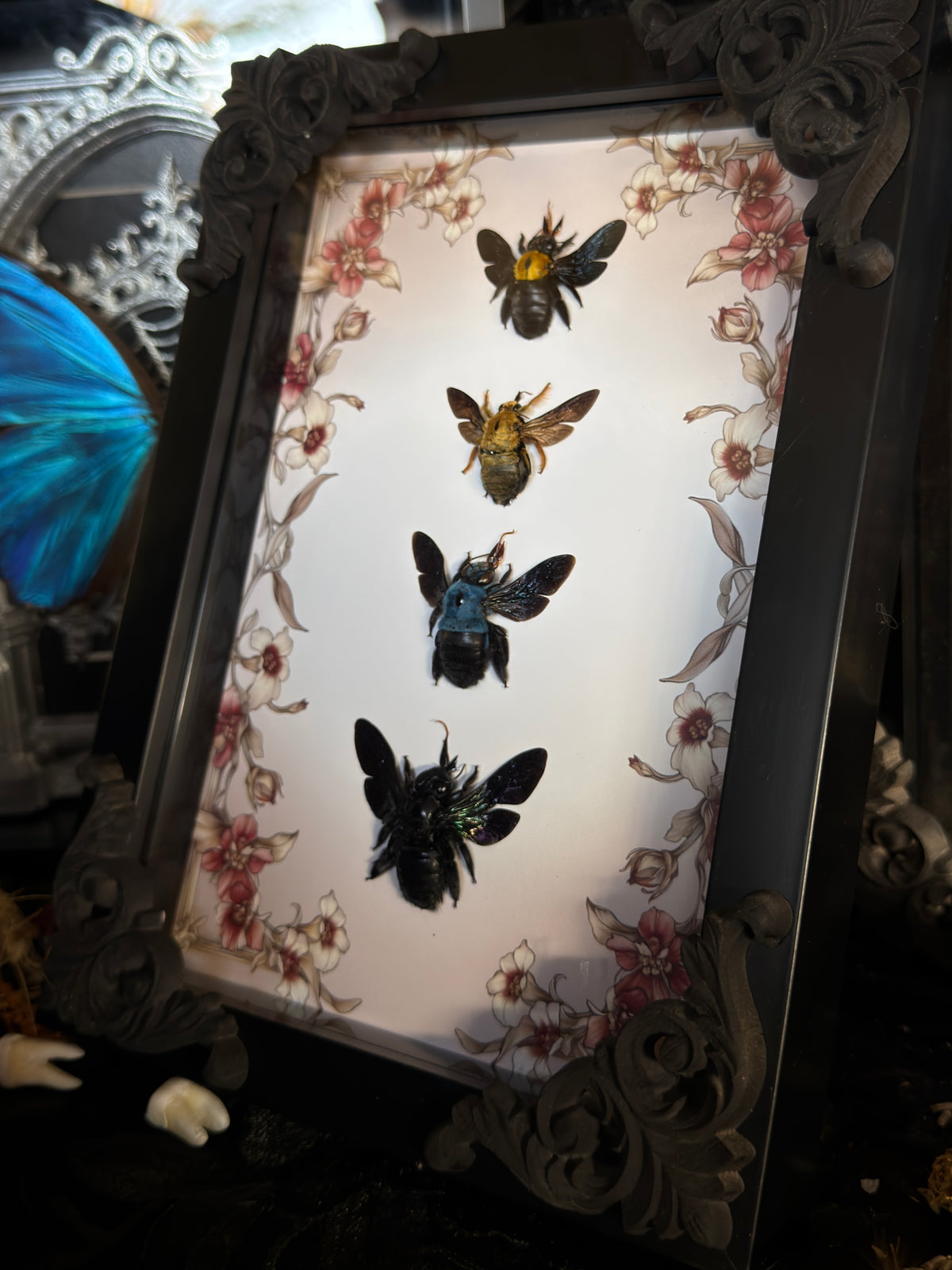 CARPENTER BEE QUAD - A5 Bee Frame