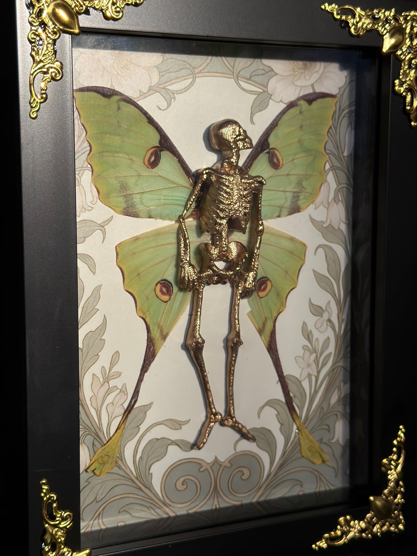 LA LUNA FAIRY - Mother of Hades Dead Fairy Frame
