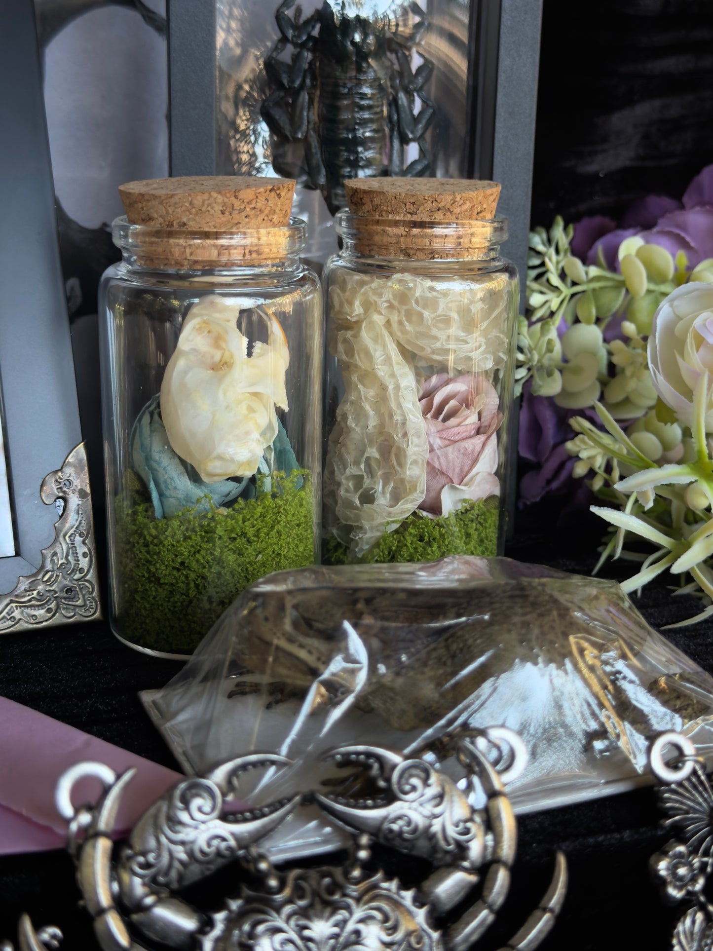 CURIOUS CRITTER VAULT - Mother Of Hades Oddities & Accessories Box
