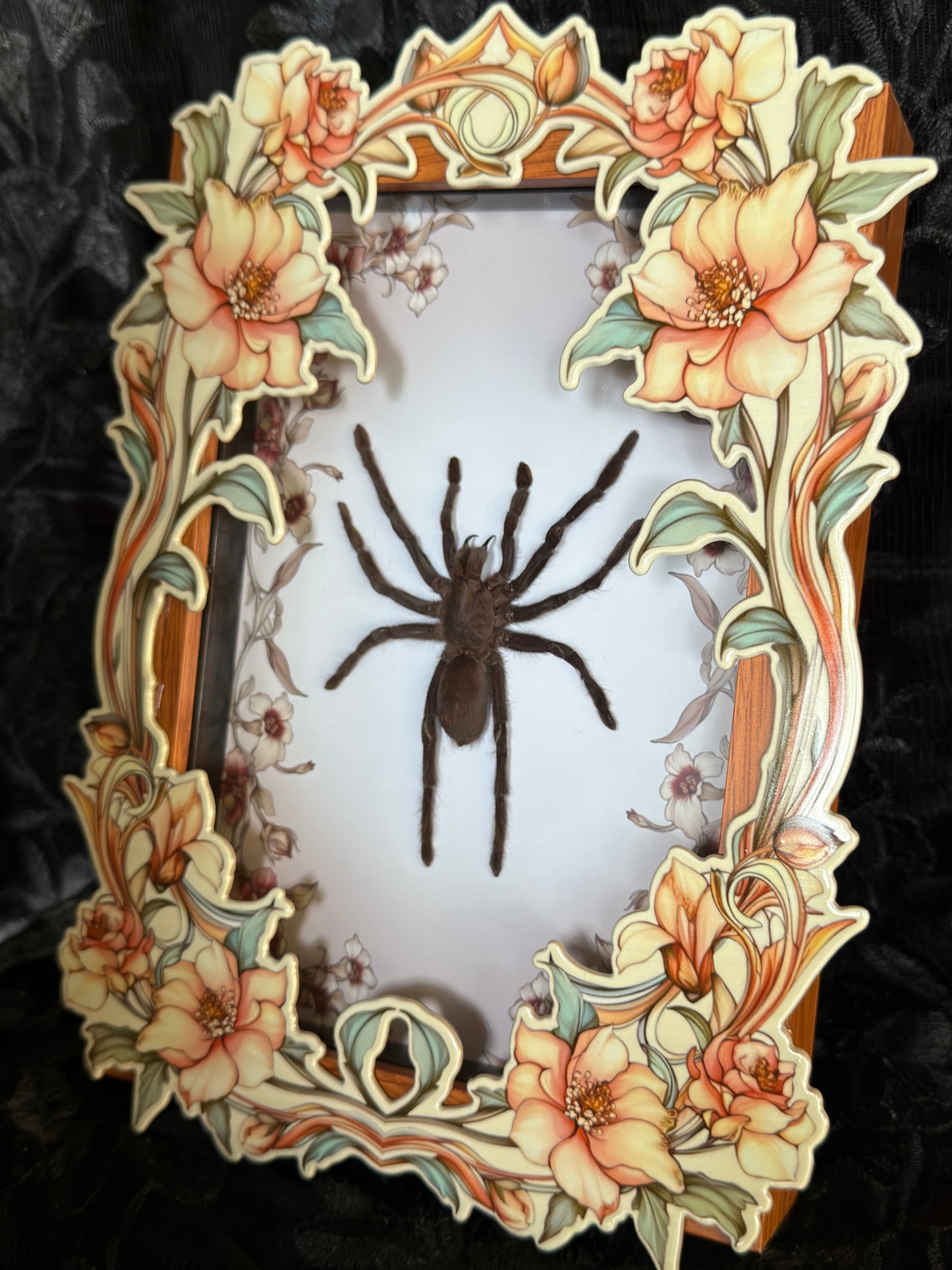 TARANTULA FLORAL FRONT SHADOW BOX