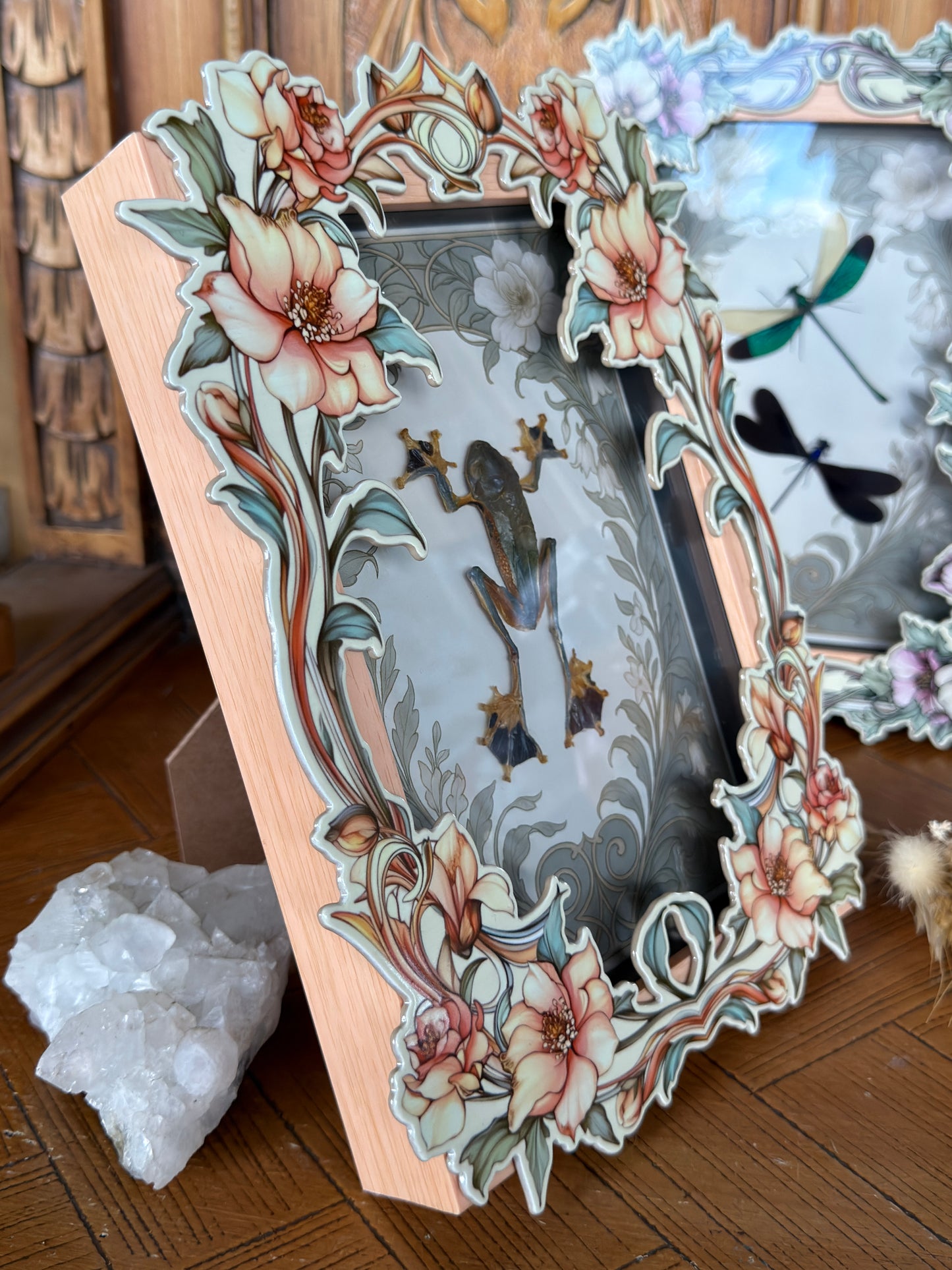 REINDWARDT’S FLYING FROG- Rhacophorus reinwardtii Framed Specimen