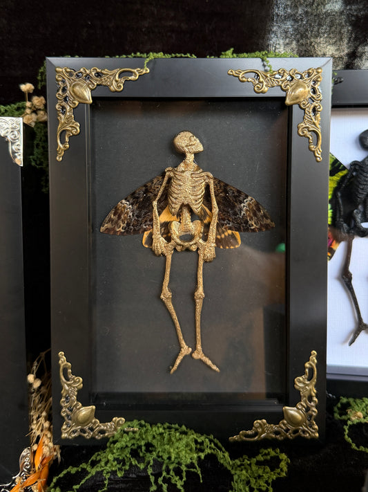 GOLD DEATH HEAD FAIRY - Mother of Hades Dead Fairy Collection