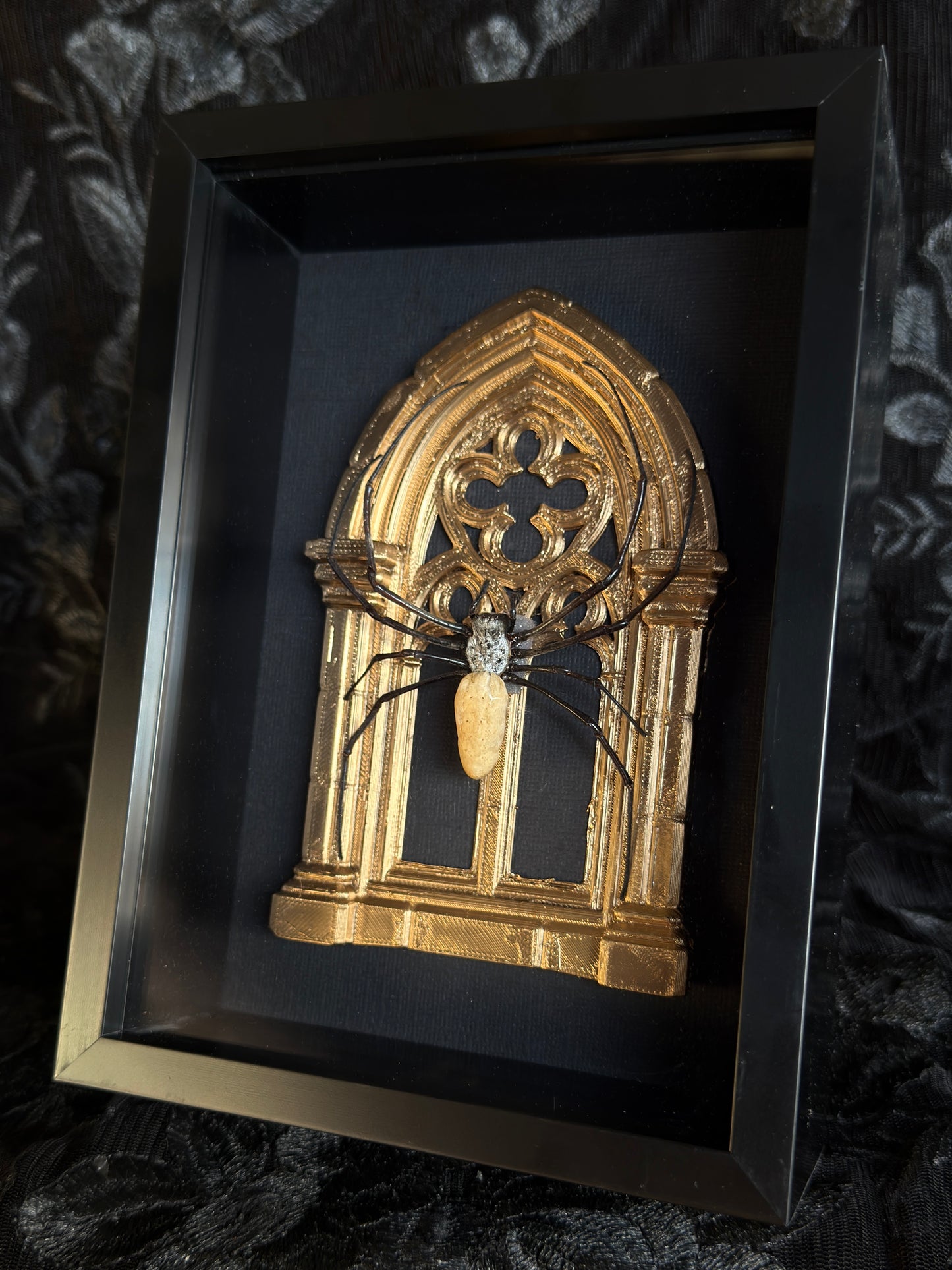 Gold Arch Orb Weaver Spider - Mother of Hades Framed Specimen